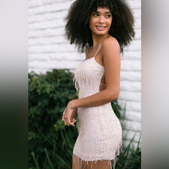 NWT Cassie Sequin Fringe Dress in Pink - Size L - Picture 3 of 10